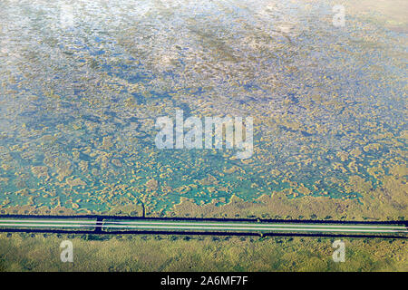 Fort ft. Lauderdale Florida, Fort Lauderdale-Hollywood International Airport FLL, Alligator Alley Interstate 75 i 75 i-75, vista aerea del sedile della finestra, FL1909 Foto Stock