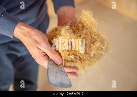 La mano di un lavoratore tenendo la canapa lana, ecologico materiale di isolamento che è ecologico e completamente riciclabile Foto Stock