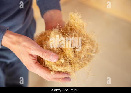 La mano di un lavoratore tenendo la canapa lana, ecologico materiale di isolamento che è ecologico e completamente riciclabile Foto Stock