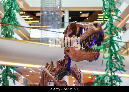 Animale tarbosaurus dinosauri denti jurassic predator ganasce scheletro Foto Stock