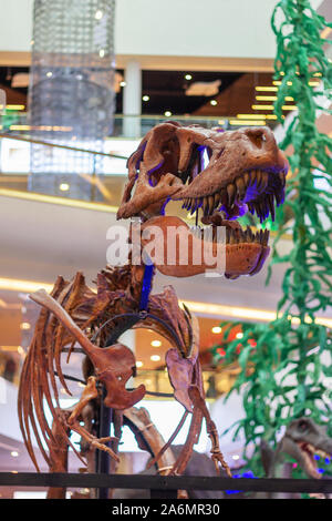 Animale tarbosaurus dinosauri denti jurassic predator ganasce scheletro Foto Stock