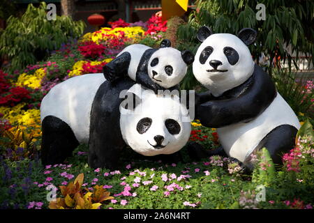 Panda rompere il tempo di immagine Foto Stock