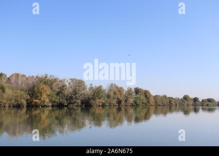 TEVERE GIORNO - ROMA - TIBERIS - 28/10/2019 Foto Stock