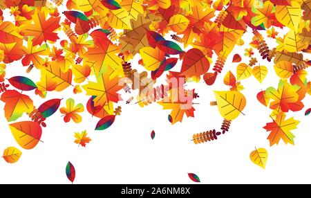 Foglie di autunno sparsi in background. Rovere, acero e rowan Illustrazione Vettoriale