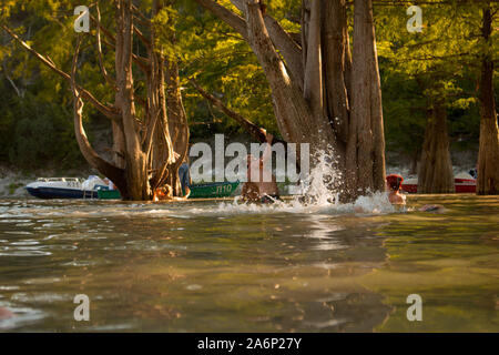 I cipressi del lago. Succo Foto Stock