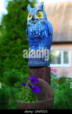 Gufo di legno blu nel parco vicino all'abete rosso Foto Stock