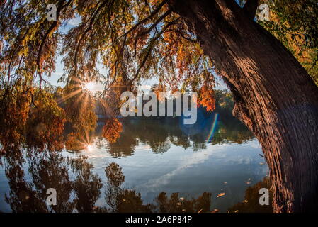 Paesaggio autunnale di Bucarest, Romania, Herastrau park da ottobre 2019 Foto Stock