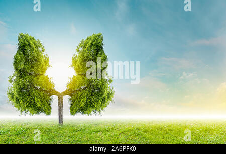 Polmone verde a forma di albero di immagini, concetti medici, autopsia, visualizzazione 3D e animali come un elemento Foto Stock