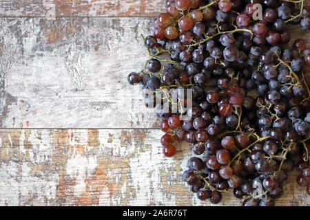 uva resh matura. Uve blu e rosa. Vendemmia autunnale. Foto Stock