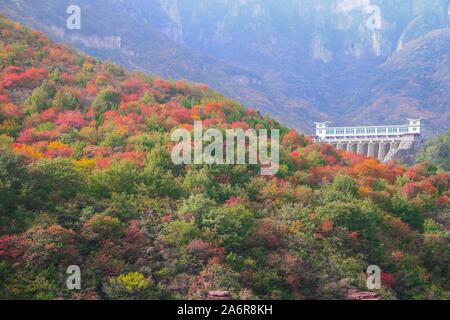 (191028) -- ZHENGZHOU, 28 ottobre 2019 (Xinhua) -- foto scattata su 28 Ottobre, 2019 mostra il paesaggio in montagna Yuntai punto panoramico nella contea di Xiuwu, centrale cinese della Provincia di Henan. (Xinhua/Feng Dapeng) Foto Stock