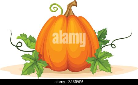 Vettore di zucca arancione con foglie verdi isolati su uno sfondo bianco. Illustrazione Vettoriale