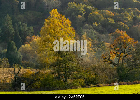 I colori autunnali nella valle del Wye a ponte Bigsweir. Wye Valley, Monmouthshire, Galles. Foto Stock