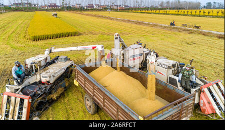 Lavoratori cinesi drive raccogliendo le macchine per la mietitura del riso in campo nella periferia di Hai'an City, est della Cina di Jianggsu Provincia su Ottobre 27th, 2 Foto Stock