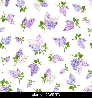 Vector seamless pattern con rami di fiori lilla su uno sfondo bianco. Illustrazione Vettoriale