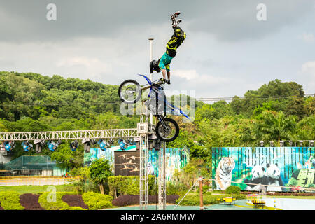 Un professionista di motociclista dando uno stile libero acrobazie motocross dimostrazione in Shenzhen Parco Zoo, in Cina Foto Stock