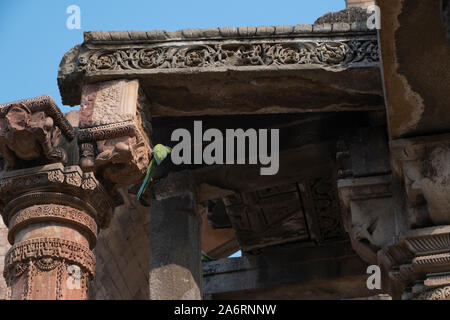 Tempio Jain pilastro dal Qutub Minar complesso, Delhi. Foto Stock