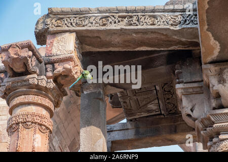 Tempio Jain pilastro dal Qutub Minar complesso, Delhi. Foto Stock