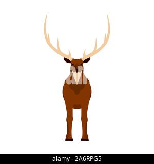 Elk illustrazione vettoriale icona vista anteriore. La fauna selvatica cervo mammifero arte natura con avvisatore acustico. Testa di corna cartoon fauna forestali zoo Illustrazione Vettoriale