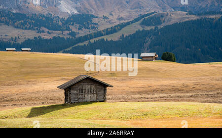 Paesaggio con bellissimo prato in autunno e in legno cabine log in Valle dell Alpe di Siusi presso l'area dolomitica in Alto Adige in Italia Foto Stock