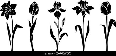 Vettore silhouette nera di fiori di primavera (tulipani, narcisi e iris) isolato su uno sfondo bianco. Illustrazione Vettoriale