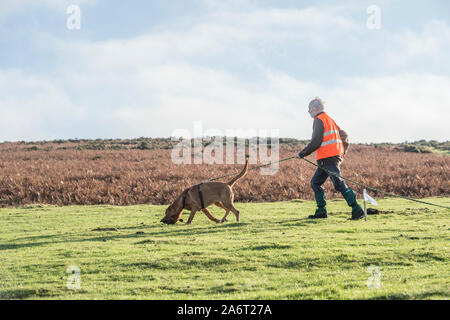 Uomo con tracking bloodhound Foto Stock