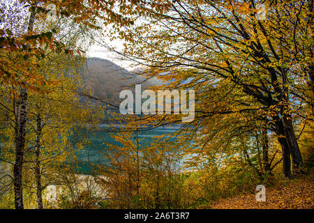 Bella vista attraverso gli alberi di un lago circondato da boschi, in una giornata di sole in autunno Foto Stock