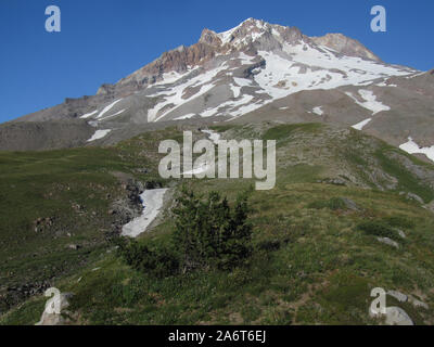 Un tempo estivo vista del vecchio vulcano sbriciolamento Mt. Il cofano dal Paradise Park. Foto Stock