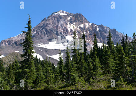 Un tempo estivo vista del lato nord-ovest di Mt. Cappa dal timberline trail. Visibile è quello che è a sinistra del ghiacciaio Glisan e Pulpito Rock. Foto Stock