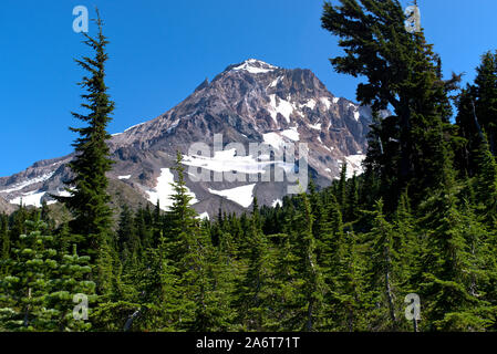 Un tempo estivo vista del lato nord-ovest di Mt. Cappa dal timberline trail. Visibile è quello che è a sinistra del ghiacciaio Glisan e Pulpito Rock. Foto Stock