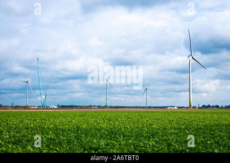 Edilizia e costruzione di mulini a vento in Olanda, provincia Overijssel vicino a Dedemsvaart Foto Stock