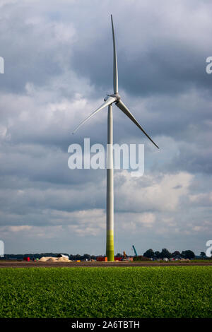 Edilizia e costruzione di mulini a vento in Olanda, provincia Overijssel vicino a Dedemsvaart Foto Stock
