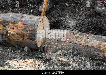 Logger sorge su un terreno bagnato e tenere premuto un tronco di albero che è stato tagliato con seghe a catena su un parco giochi nel giorno di pioggia. Foto Stock