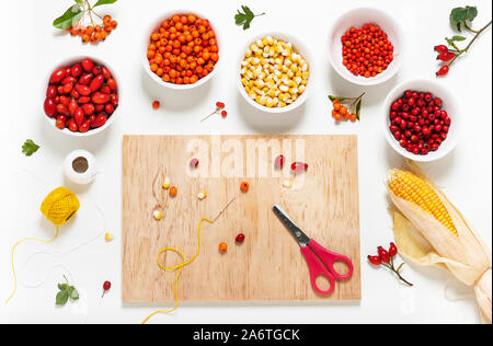 Set di natura coloratissima semi, frutti di bosco e gli strumenti per la realizzazione di bracciali o collane accessori. Foto Stock