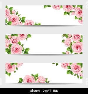 Set di vettore te banner per il web con il Rosa Rose. Illustrazione Vettoriale