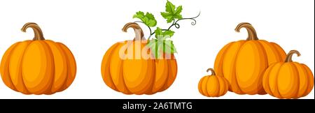 Set di vettore di zucche arancione isolato su uno sfondo bianco. Illustrazione Vettoriale