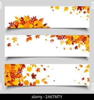 Set di tre vettore banner web con colorate Foglie di autunno. Illustrazione Vettoriale