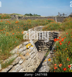 I Guerra Mondiale trincee noto come Dodengang (Trench di morte) circondato da papaveri. Situato vicino a Diskmuide, Fiandre, in Belgio Foto Stock