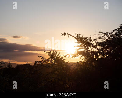 Felci stagliano contro il sole al tramonto e lo skyline del Parco Nazionale di Peak District, UK. Foto Stock
