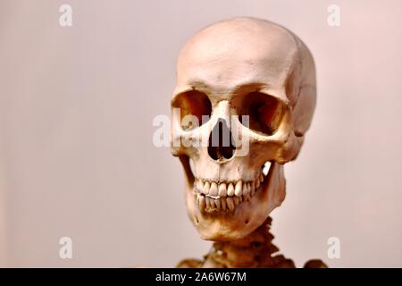 Scary allegro sorriso toothy ganasce e cranio umano. Foto Stock