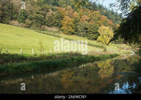 Montgomery canal in autunno nei pressi di Welshpool, Powys. Ottobre 2019 Foto Stock