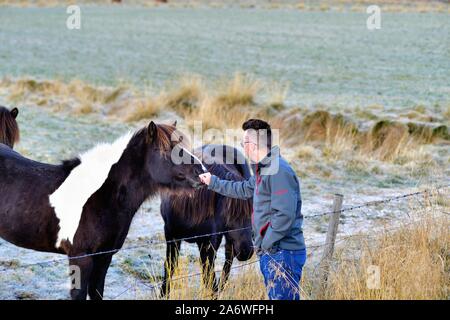 Akureyri, Islanda. Tourist amicizie con un cavallo islandese lungo un coperto di brina del pascolo del filo spinato nei pressi di Akureyri nel nord dell'Islanda. Foto Stock