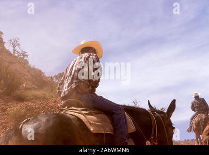 Due cowboy che portano un mulo treno nel Grand Canyon guardando verso il cielo Foto Stock