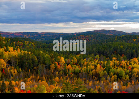 Una vista panoramica di un bosco misto di un elevato vista. Alberi sempreverdi sono unite da chiazze di colori autunnali come le colline tendere verso la hori Foto Stock