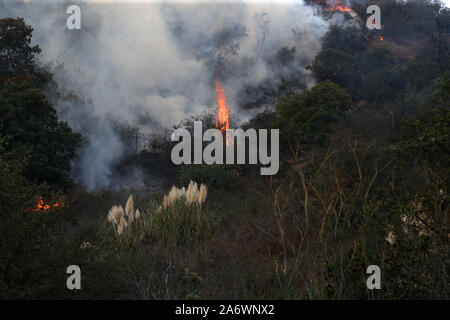 Los Angeles, Stati Uniti d'America. 28 ott 2019. Un incendio lungo l'Autostrada 405 nel Sepulveda passa vicino il Getty Center distruggendo case e costringendo migliaia di evacuazione a Los Angeles, la California il 28 ottobre 2019. Credito: Faye Sadou/media/punzone Alamy Live News Foto Stock
