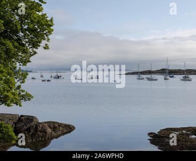 Barche a vela all'ancoraggio vicino a Oak Bay Marina in Victoria, BC. Foto Stock