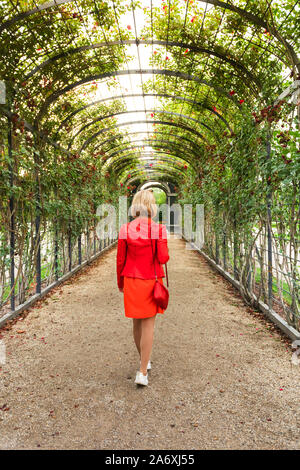 Una donna cammina lungo un vialetto di rose in un parco. Foto Stock