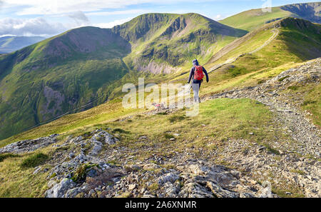 Un escursionista a piedi in discesa dalla cima del Grisedale Pike verso Hobcarton con i vertici della falesia Hill una vela di distanza nel Lake District Foto Stock