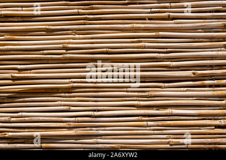 Recinzione fatta di tronchi di bambù Foto Stock