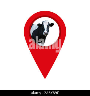 Mucca individuare il punto isolato su sfondo bianco   geo il perno con la mucca Foto Stock