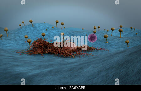 Funghi sulla superficie del cuoio, del fungo rilascia spaores, paesaggio di microcosmo, spora caduti sulla superficie di pelle Foto Stock